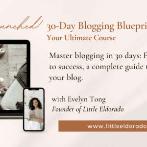 30 Day Blogging Blueprint: Your Step-by-Step Guide to Blogging Success